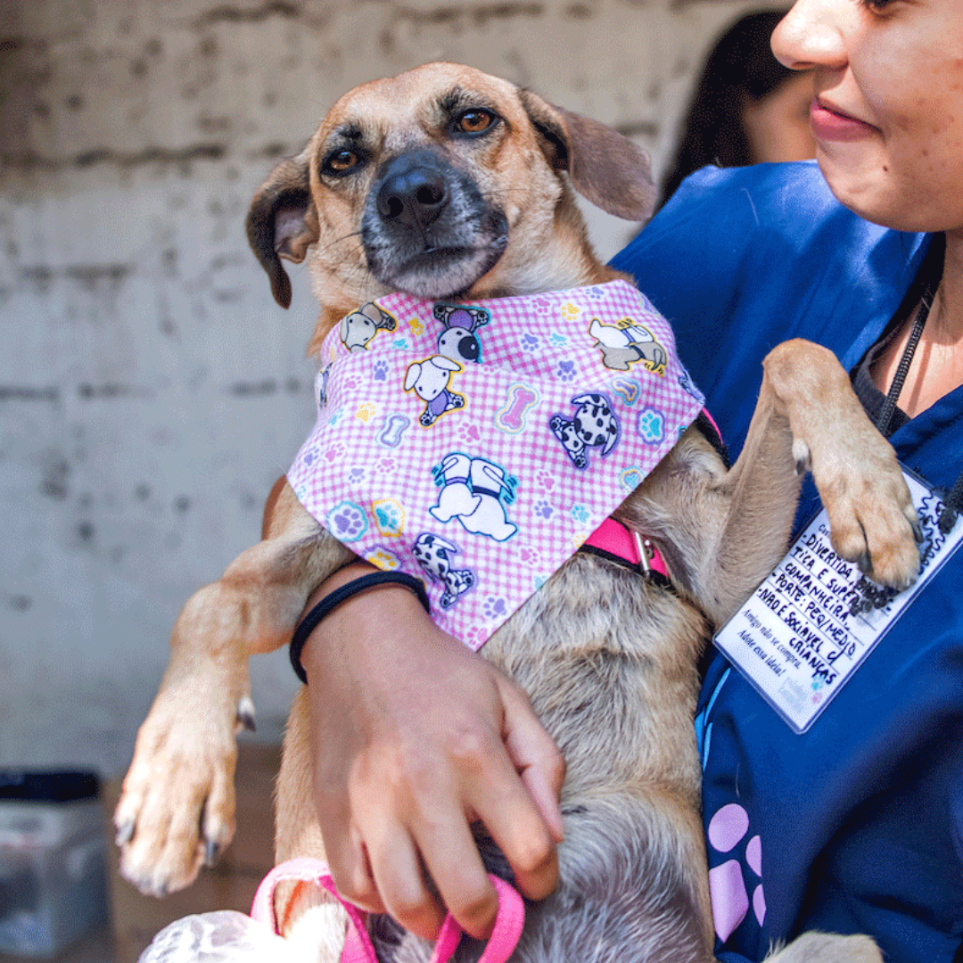 Testimonio de María